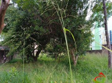 Terreno · 368m² · Terreno para Venda - 0m², 0 dormitórios, Tristeza
