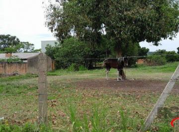 Terreno · 1000m² · Terreno com 1.000m² , dimensões de 20x50,