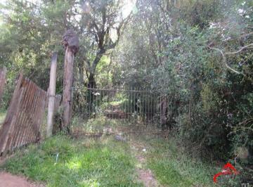 Rural · 53851m² · Área 53851,44 m²  no Beco da Paixão Bairro Lomba do Pinheiro