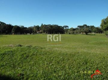 Terreno · 35000m² · Area para Venda - 35000m², 0 dormitórios, Centro
