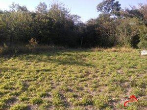 Terreno · 800m² · Terreno à venda - na Ponta Grossa