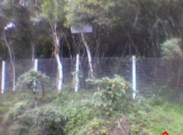 Terreno · 5100m² · Terreno para Venda - 5100m², Ponta Grossa