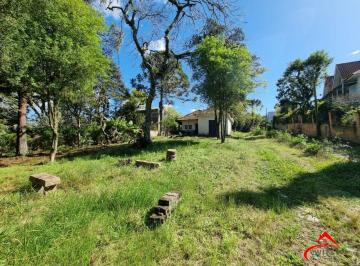 Terreno · 4452m² · Terreno para Venda - 4.452m Bairro Jardim Isabel