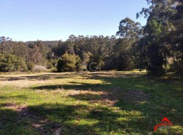 Rural · 2500m² · Sítio para Venda - 2500m², 0 dormitórios, Passo Da Areia