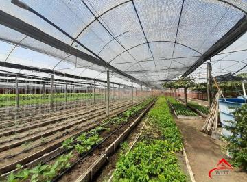 Terreno · 6629m² · SÍTIO DENTRO DE PORTO ALEGRE 6.629,10 metros quadrados de área no bairro Campo N