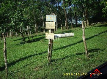 Terreno · 4200m² · Terreno para Venda - 0m², 0 dormitórios, Lomba do Pinheiro
