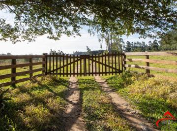 Rural · 220ha · 3 Quartos · 3 Vagas · Rurais à venda - em Viamão