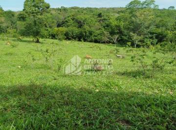 Rural , Curvelo · FAZENDA 45 HECTARES CURVELO/MG