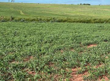 Rural · 77200m² · 1 Vaga · VENDA | Sítio,  em ., Presidente Castelo Branco