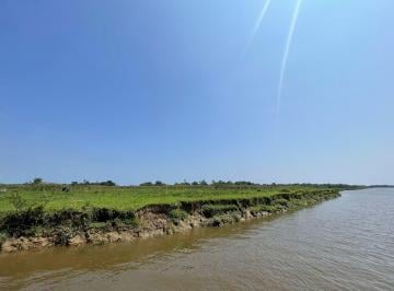 Terreno , Iguape · Vendo 115 alqueires / 2000mil lotes de 500m² aprovado / Avaliado 29milhoes