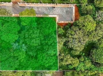Terreno · 2500m² · Terreno à venda, Setor de Habitações Individuais Sul - Brasília/DF