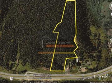 Terreno · 63202m² · Terreno em Itaquaciara, Itapecerica da Serra/SP de 63202m² à venda por R$ 8.220.000,00