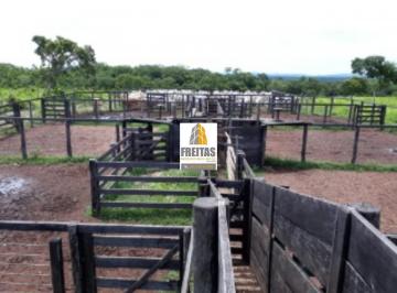 Foto 01 · Fazenda à venda em Natividade-TO  com 1.186 ha Pastagens formadas, currais, água, energia e document