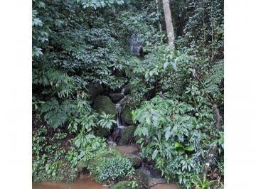 Terreno · Lote rural DOUTOR PEDRINHO - SC