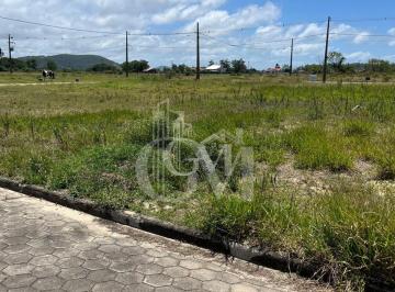 Terreno · 346m² · Loteamento Moinho de Vento, Riachinho.