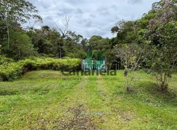 Foto 01 · Sítio à venda em Cananéia-SP, no bairro Iririaia, com 39,8 hectares!