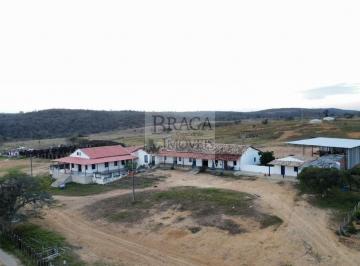 Foto 01 · FAZENDA PARA CRIA E RECRIA EM LAGEDINHO - BA