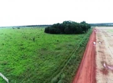 MATO GROSSO - São Felix do Araguaia Fazenda a vend · Mato Grosso, São Felix do Araguaia, Brasil, Fazenda a venda, 1.958 Hectares.