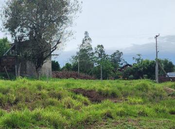 27959325_g.jpg · 
                                Terreno
                            