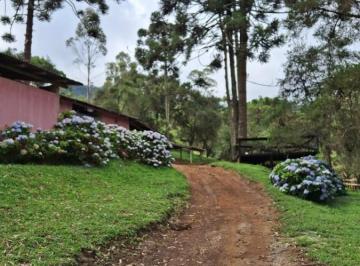 202508081730576264.jpg · Terreno/Área com 4 Alqueires a venda em Gonçalves-MG