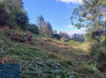 202505141503463676.jpg · Terreno 2000m2 em Gonçalves-MG