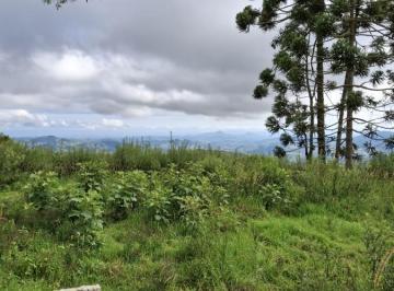 202503121550018502.jpg · Terreno Rural 3,5 Alqueires em Paraisópolis MG