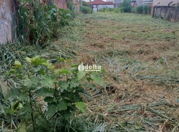 Terreno · 1160m² · Terreno disponível para venda no bairro Osvaldo Rezende em Uberlândia - MG.