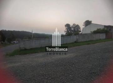 whatsapp-image-2025-12-15-at-5-47-18-pm1766004331932.jpeg · Imoveis - em Ronda