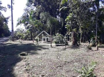 202511031312115952.jpeg · Terreno para Venda em Morretes, Ponte Alta