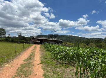 Rural · 50000m² · 2 Quartos · 1 Vaga · Sítio à venda no bairro Dalbérgia - Ibirama/SC