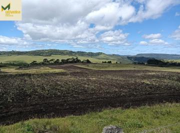 Rural · 157ha · Fazenda com Lavoura e Rio em toda divisa!!