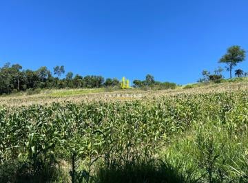 Rural · 36887m² · Área à venda no bairro Sede Figueira - Chapecó/SC, Rural