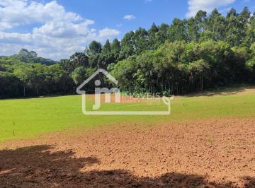 202511031500473479.jpg · Chácara para Venda em Araucária, Rio Verde Acima
