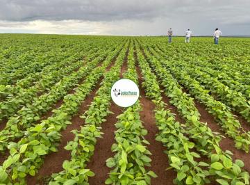 Rural , Mineiros · Arrendamento agrícola em Mineiros-MG - 4.405 hectares -Área total de lavoura 2.900 hectares