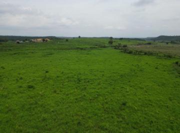 Rural , Balsas · LINDA FAZENDA PARA CRIAÇÃO DE GADO, PRÓXIMO A BALSAS/MA (PRÓXIMO AO FRIGORÍFICO)