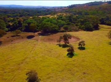 Rural de 4 quartos, Cidade Ocidental · Cudade Ocidental-GO, Fazenda EXTRA 461 hectares, dupla aptidão,