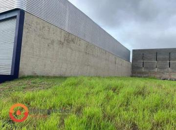 Terreno · 1000m² · Venda de Terreno Plano na Av Dos Trabalhadores Centro Empresarial Castelo Barnco com – 1.000 m² | Zo