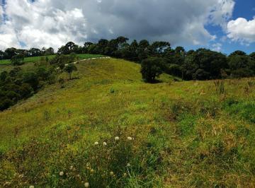 202409261522431138.jpg · Terreno para Venda em Gonçalves, Campestre