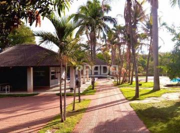 874d4f7d5c25ea3d407052bf42ed9030720fb67a · Casa à venda com 2 quartos sendo 1 suíte - Patrimônio - Uberlândia/MG.