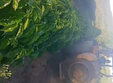 3df517bbda4725b9c709663d61fa1830.jpg · Fazenda / Sítios / Chácaras à venda em São Roque De Minas, no bairro São José Do Barreiro