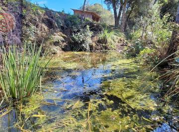 Rural · 15000m² · 3 Quartos · 2 Vagas · Chácara em Mato Bonito, Campo Alegre/SC
