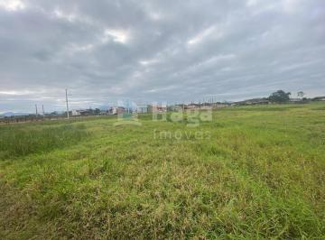Terreno · 1000m² · Terreno plano à venda em Canelinha/SC