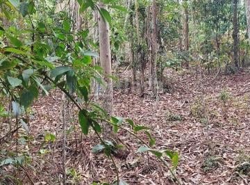 Rural · 65228m² · Chácara à venda em São João Batista/SC