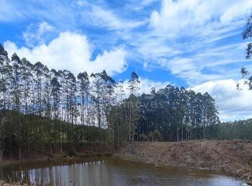 Rural · 750000m² · Sítio à venda em Major Gercino/SC