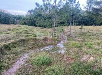 Terreno · 2400m² · Terreno rural para sítio/chácara à venda em Nova Trento/SC