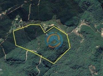 a76e83f5d82754bfd7e7b892a0596574a64d9d72 · Terreno à venda por R$ 780.000 - Tunas do Paraná/PR