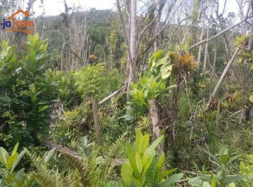 af42913173496cce93b653187a4471c33a5f6801 · Terreno à venda, 360 m² por R$ 100.000,00 - Praia do Itamambuca - Ubatuba/SP
