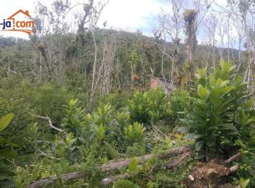 4af4c3451b336203e6cd2b8e5bb2043e74989fc0 · Terreno à venda, 360 m² por R$ 100.000,00 - Praia do Itamambuca - Ubatuba/SP