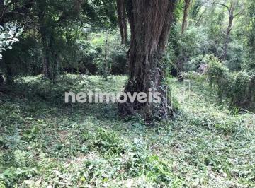 b3e301c0-4a15-4194-8be0-d7186fbfdc92.webp · Lote no Condominio Vale do Tamanduá