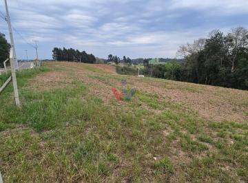 Rural · 36000m² · 1 Quarto · Chácara em Centro, Curitiba/PR de 36000m² 1 quartos à venda por R$ 670.000,00